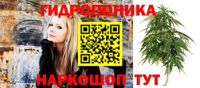 spice Бузулук