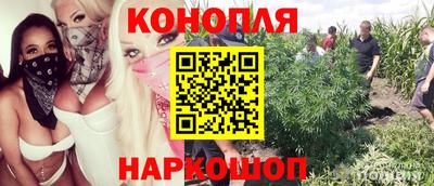 ALPHA PVP Будённовск
