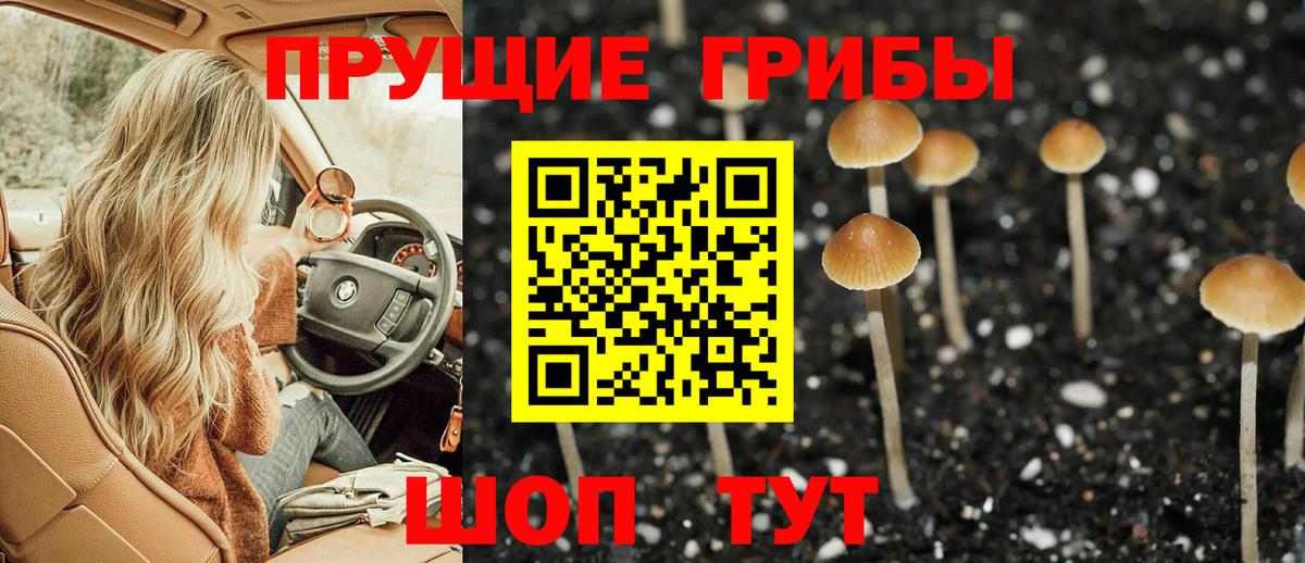 Холмск  Псилоцибиновые грибы прущие грибы  Вход с VPN 